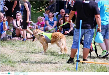 Jótékonysági Piknik Leventéért