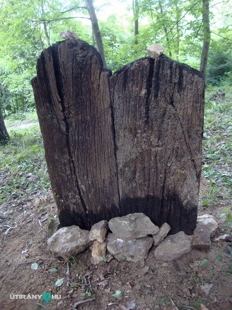 Fotók: 2015 Hegedűs László