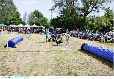 Jótékonysági Piknik Leventéért
