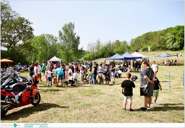 Jótékonysági Piknik Leventéért