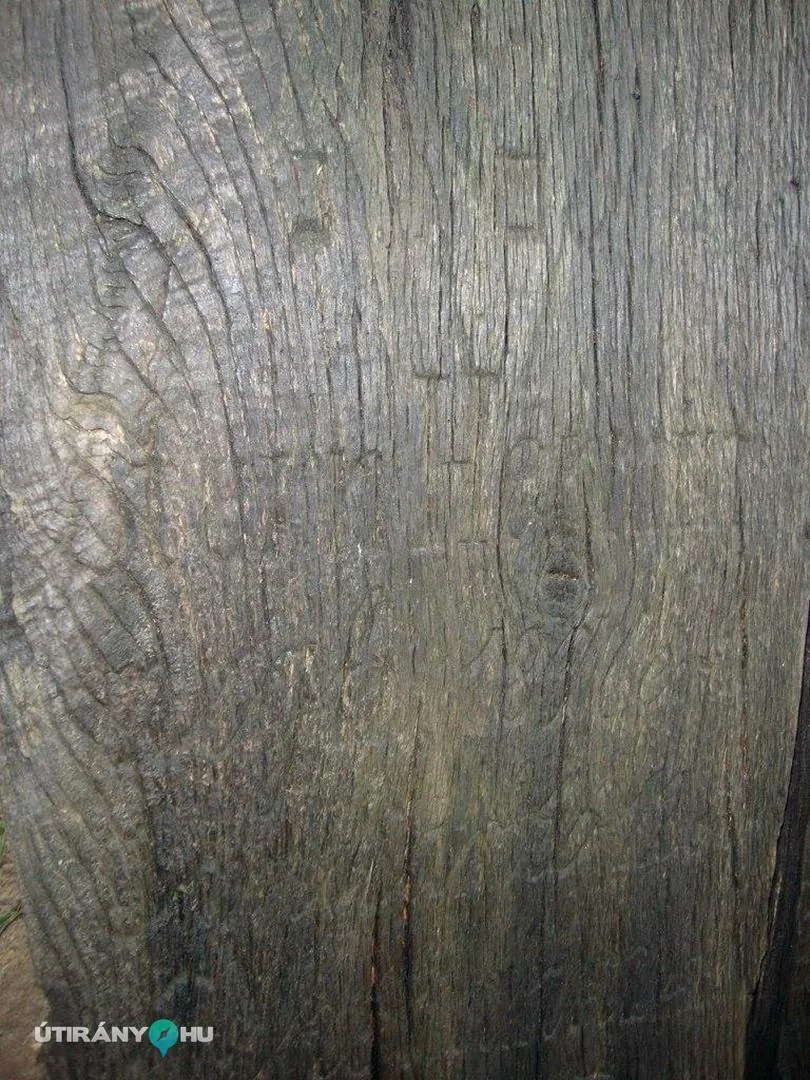 Fotók: 2015 Hegedűs László