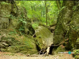 Bakonyi Ördög-árok borítóképe