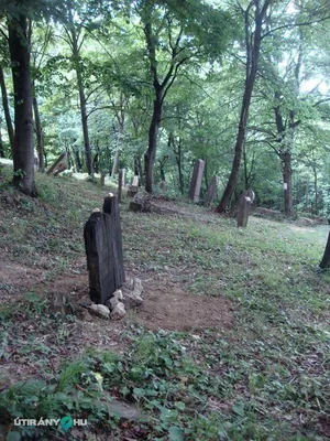 Fotók: 2015 Hegedűs László