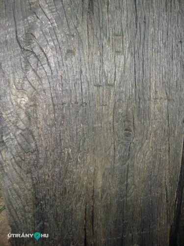 Fotók: 2015 Hegedűs László