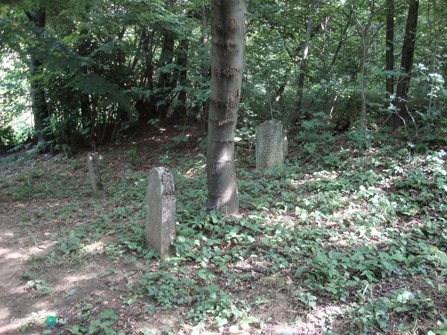 Fotók: 2015 Hegedűs László