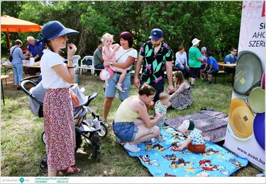 Jótékonysági Piknik Leventéért