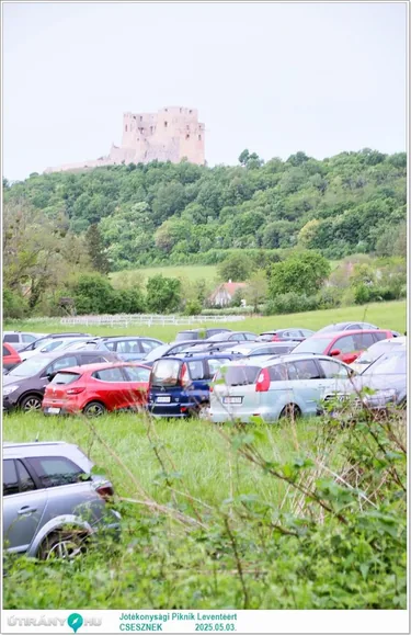 Jótékonysági Piknik Leventéért