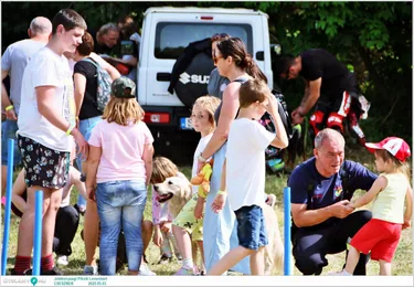 Jótékonysági Piknik Leventéért