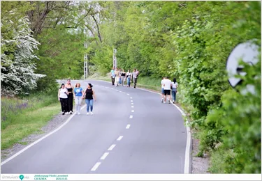 Jótékonysági Piknik Leventéért