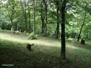 Fotók: 2015 Hegedűs László