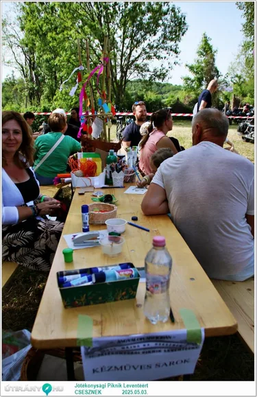 Jótékonysági Piknik Leventéért