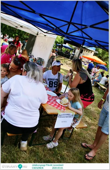 Jótékonysági Piknik Leventéért