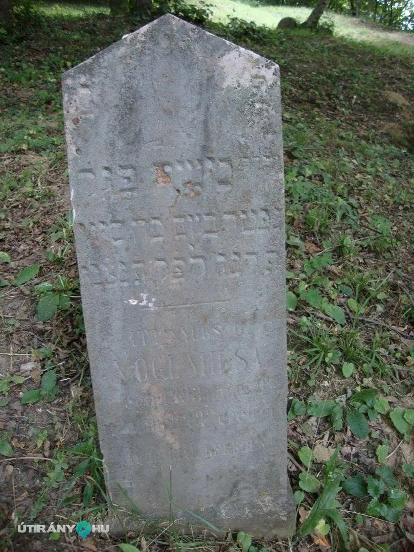 Fotók: 2015 Hegedűs László