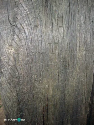 Fotók: 2015 Hegedűs László