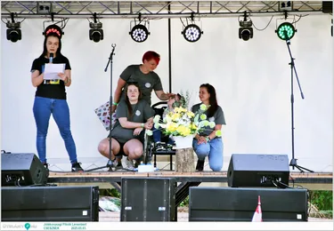 Jótékonysági Piknik Leventéért