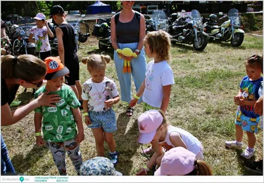 Jótékonysági Piknik Leventéért