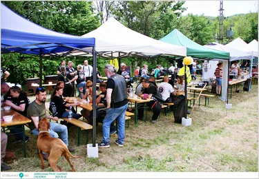 Jótékonysági Piknik Leventéért