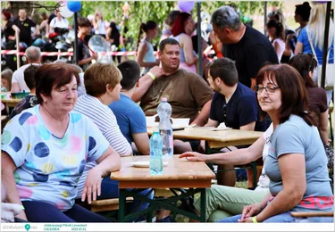 Jótékonysági Piknik Leventéért