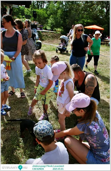 Jótékonysági Piknik Leventéért