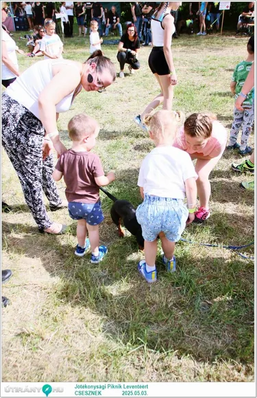 Jótékonysági Piknik Leventéért